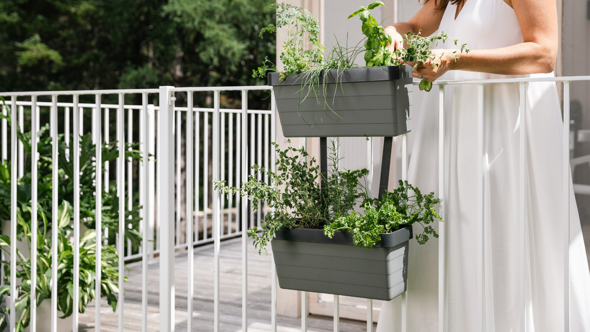 Hanging and Raised Gardens  Garant