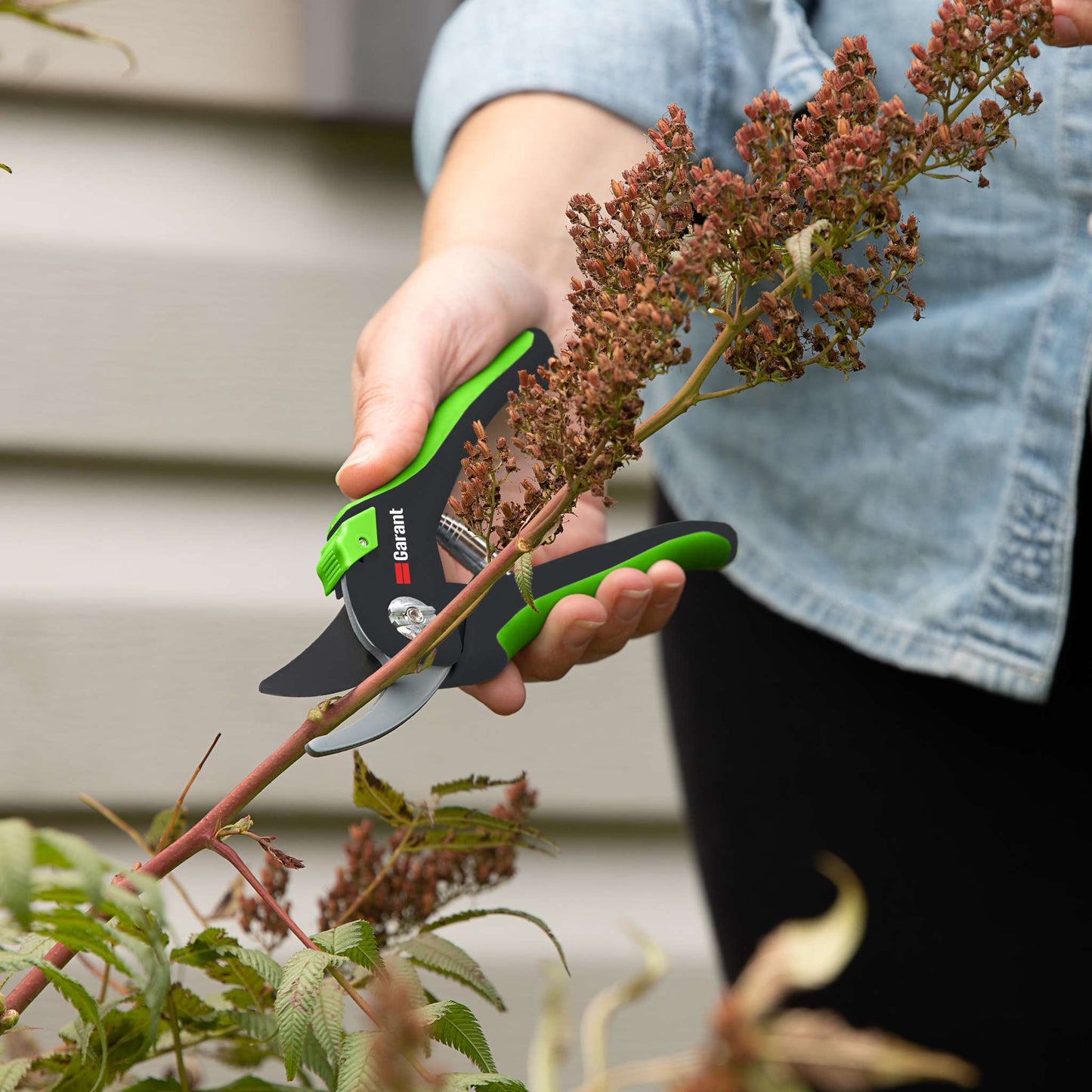 Sécateur à contre-lame, format petit