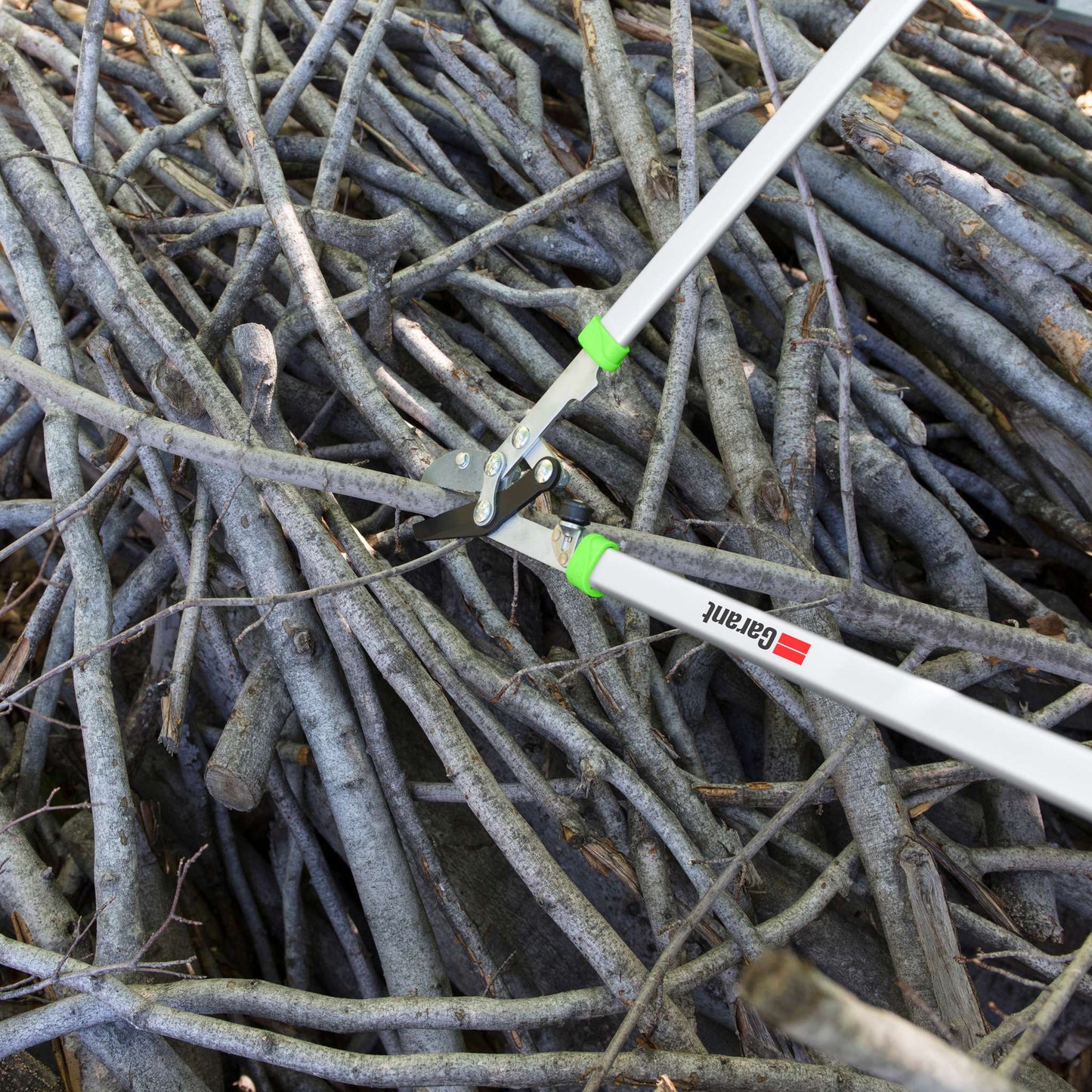 Anvil lopping shears