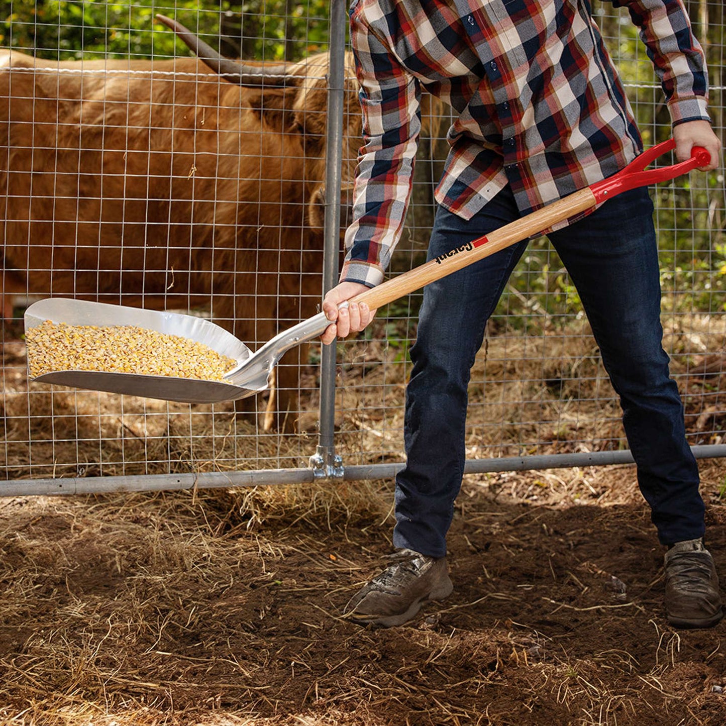 Grain scoop with aluminum blade