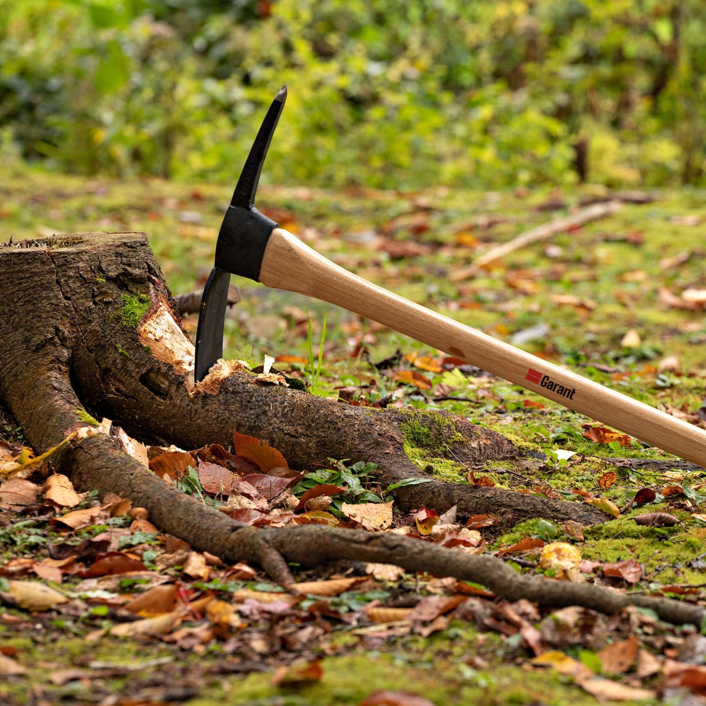 Pic à jardin de 2,5 lb