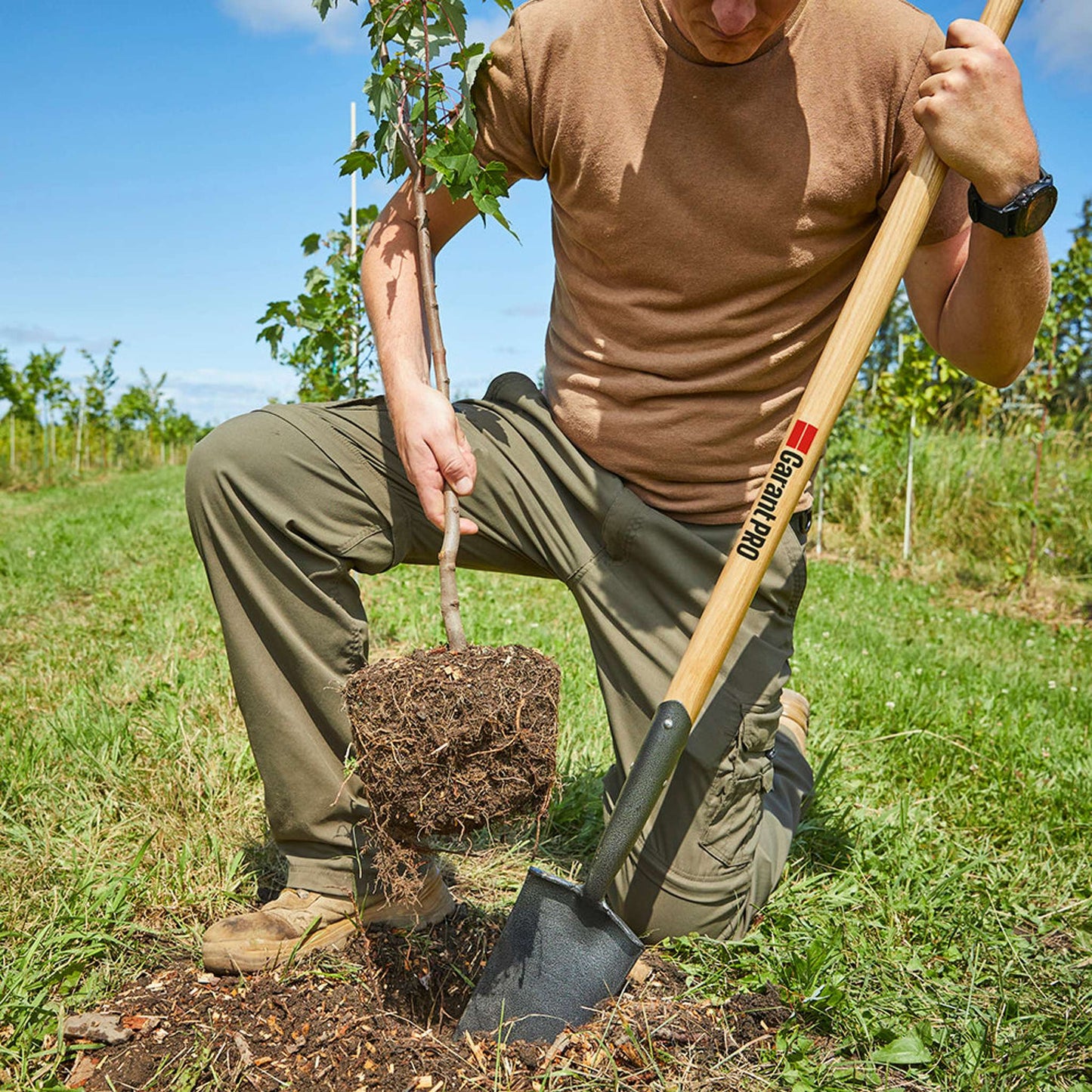 Drain spade, wood handle