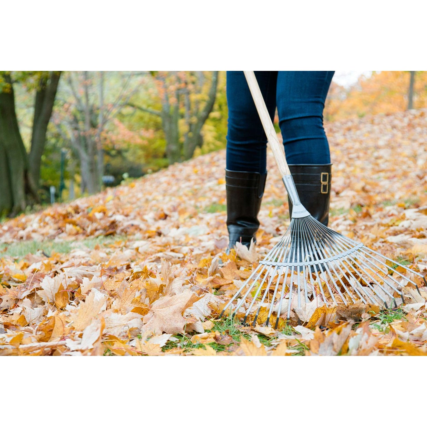 Balai à gazon à ressort