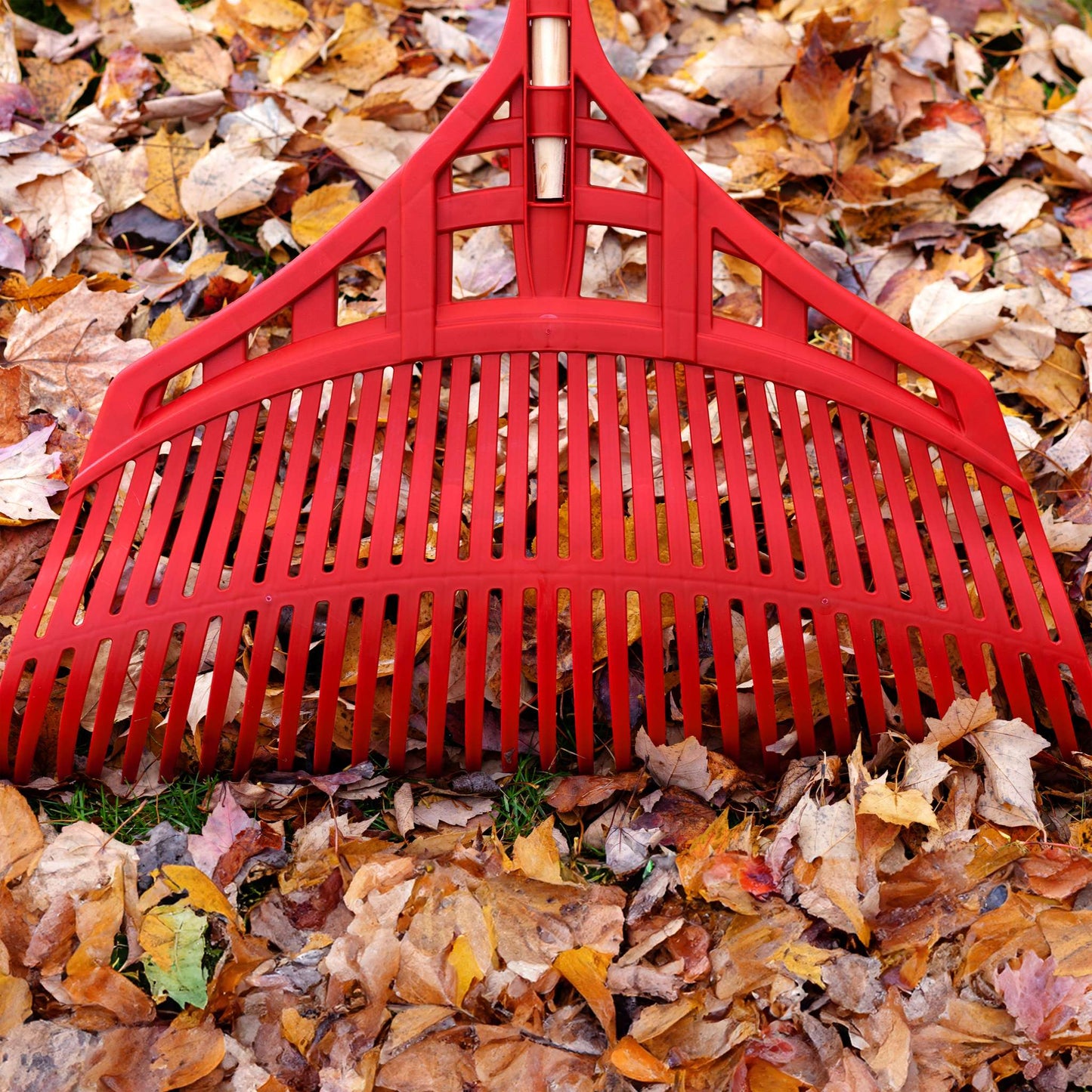Poly leaf rake