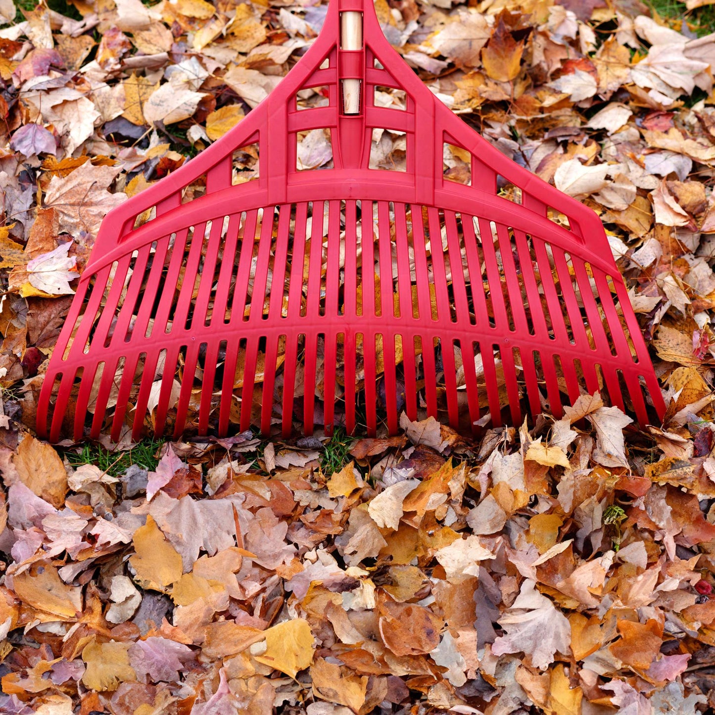 Poly leaf rake