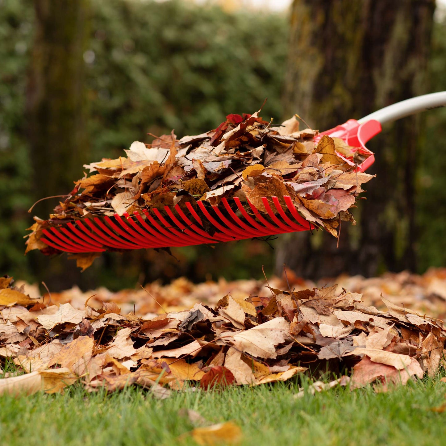 Poly leaf rake