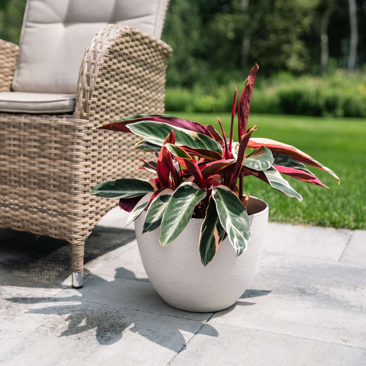 Jardinière Momoka 12 po à texture imitation pierre