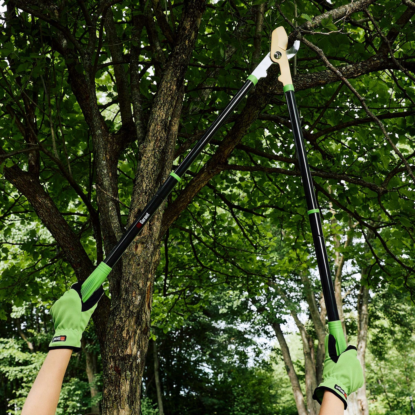 Titanium Cutting Tools Set