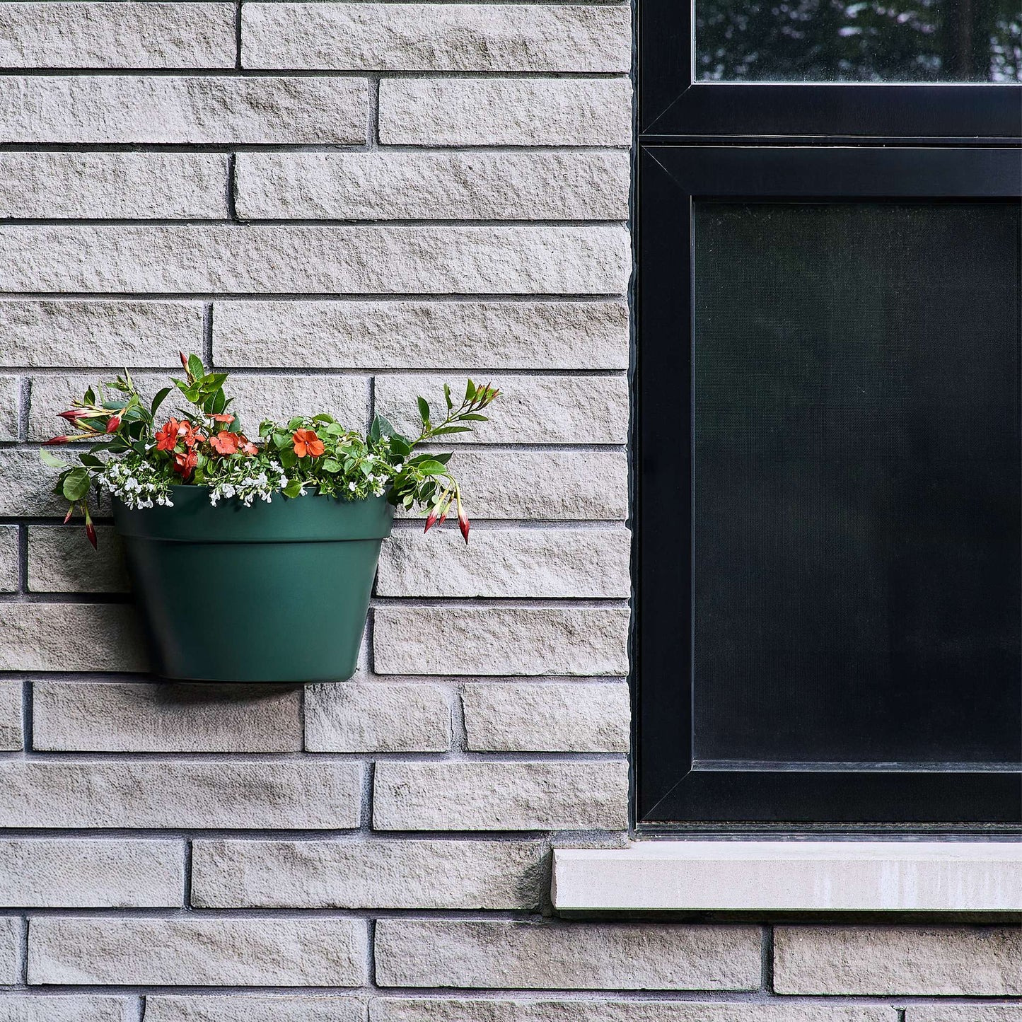 Jardinière murale Selv 14 po avec système auto-arrosant