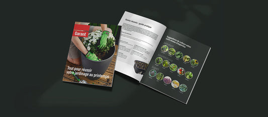 Découvrez notre catalogue printanier!