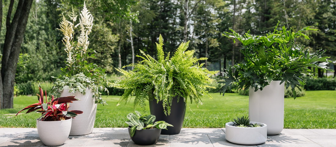 Préparer ses pots pour la plantation au printemps