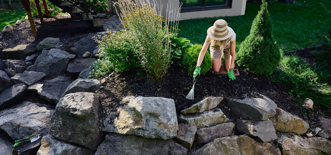 Optimisez vos plates-bandes : conseils pratiques pour un jardin florissant