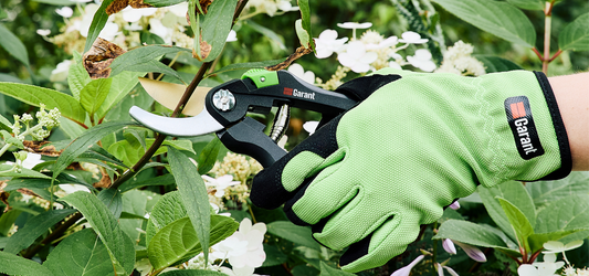 Comment choisir et utiliser un sécateur : guide pratique pour jardiniers