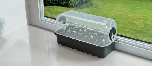 Guide pratique pour des semis réussis