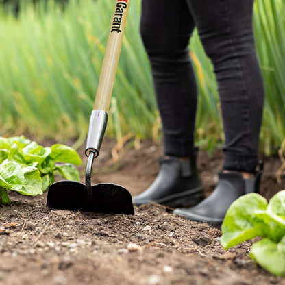 Garden hoe, wood handle