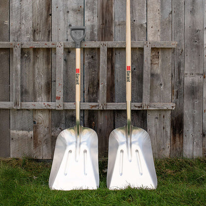 Pelle à grains avec lame en aluminium