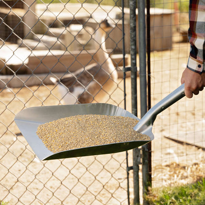 Aluminum Grain Scoop with D-Grip Handle