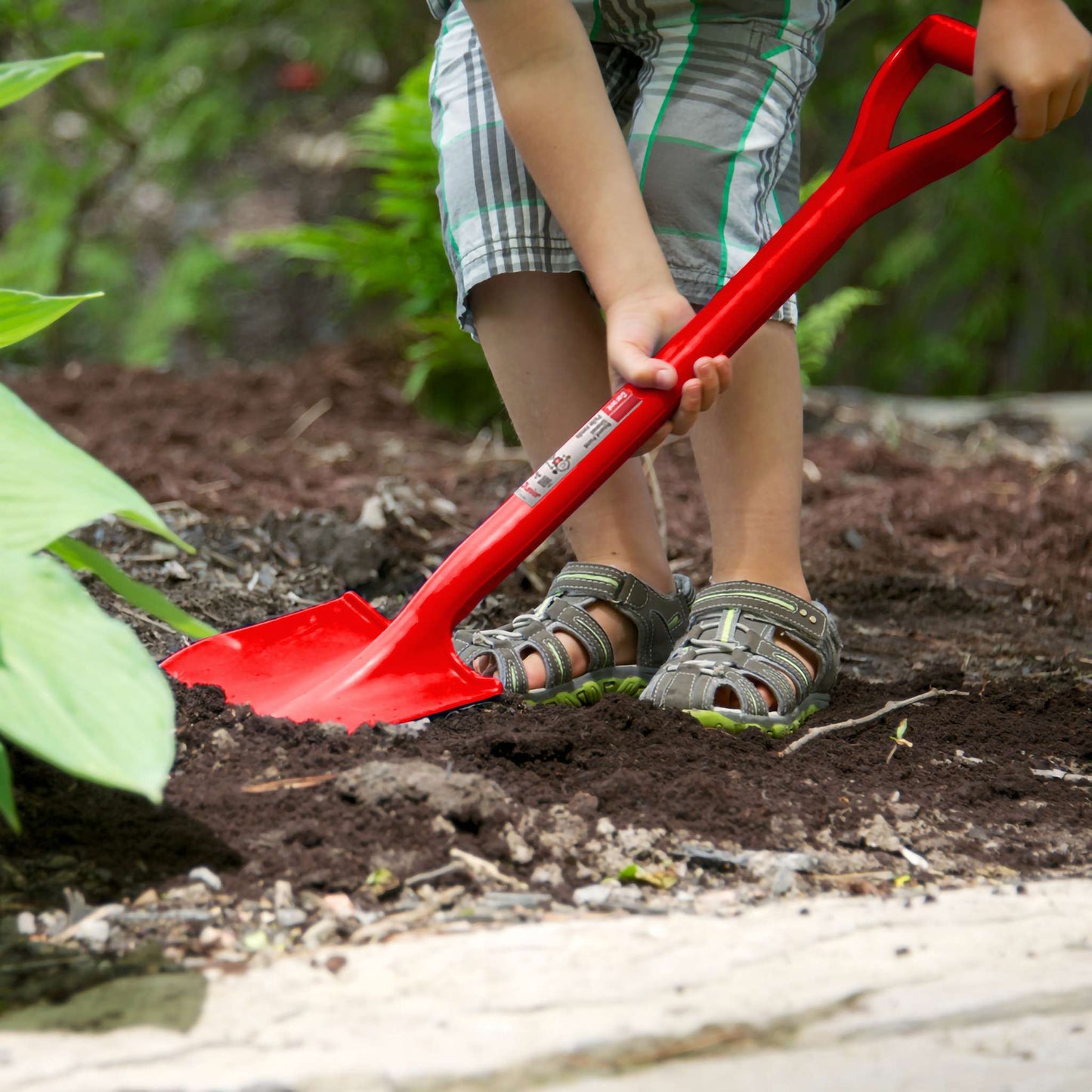 Kids shovel