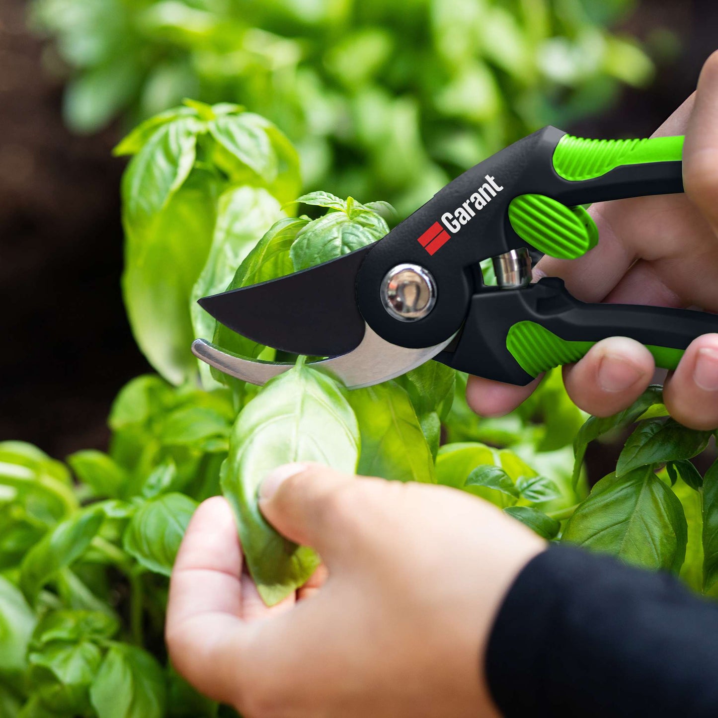 Sécateur à contre-lame, format grand