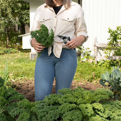 Bypass pruner, medium size