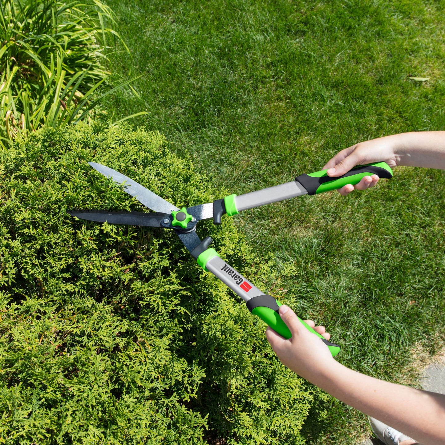 Hedge shears