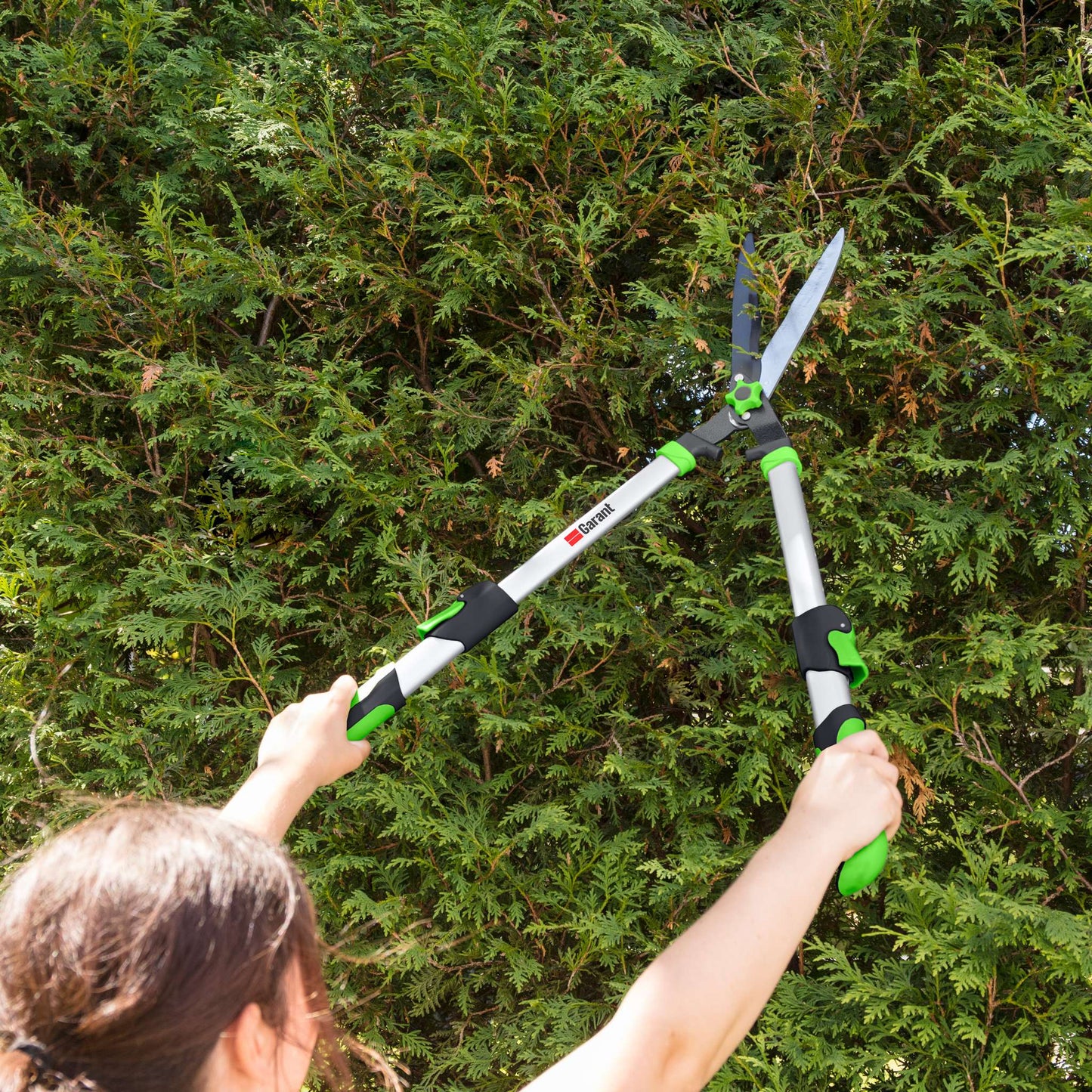 Cisaille à haies, modèle télescopique