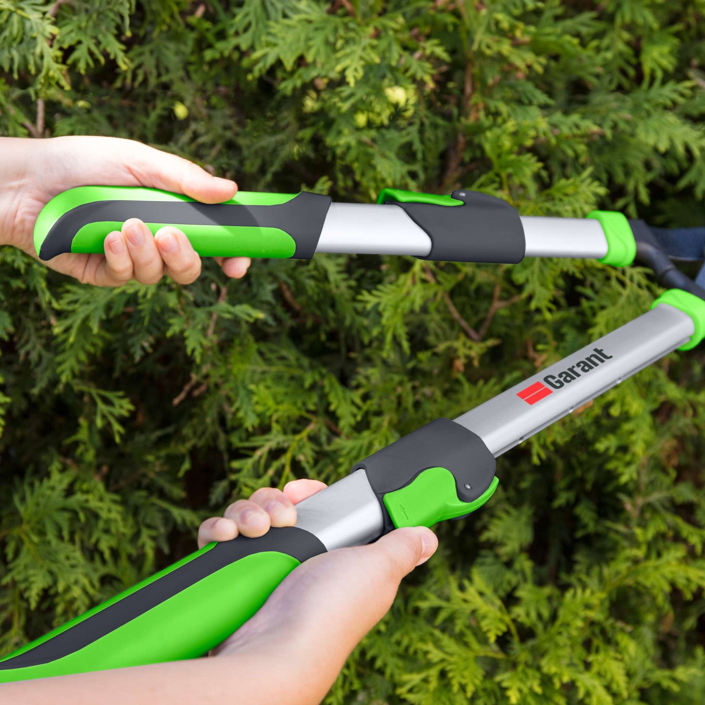 Cisaille à haies, modèle télescopique