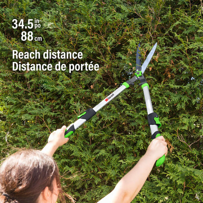 Cisaille à haies télescopique