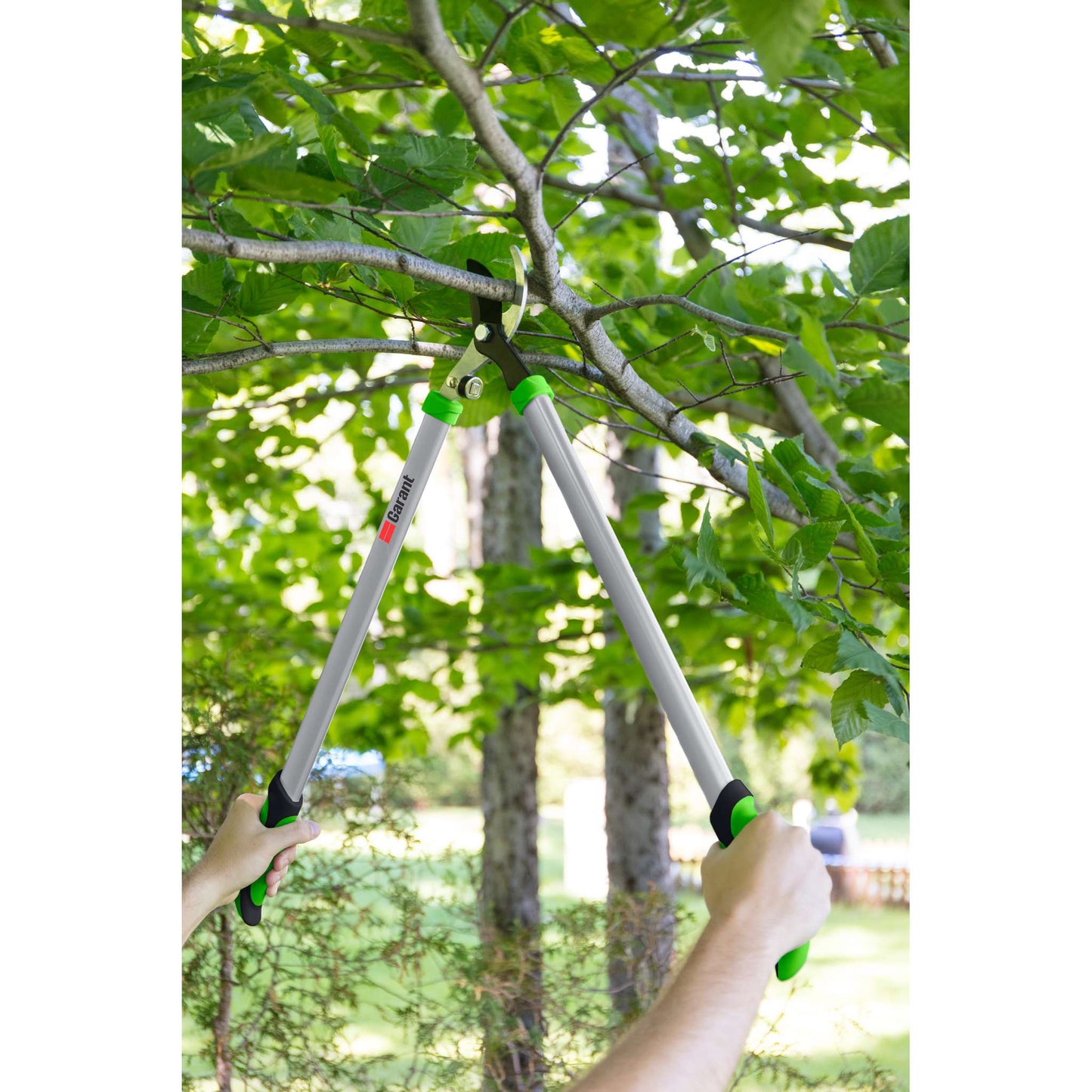 Bypass lopping shears