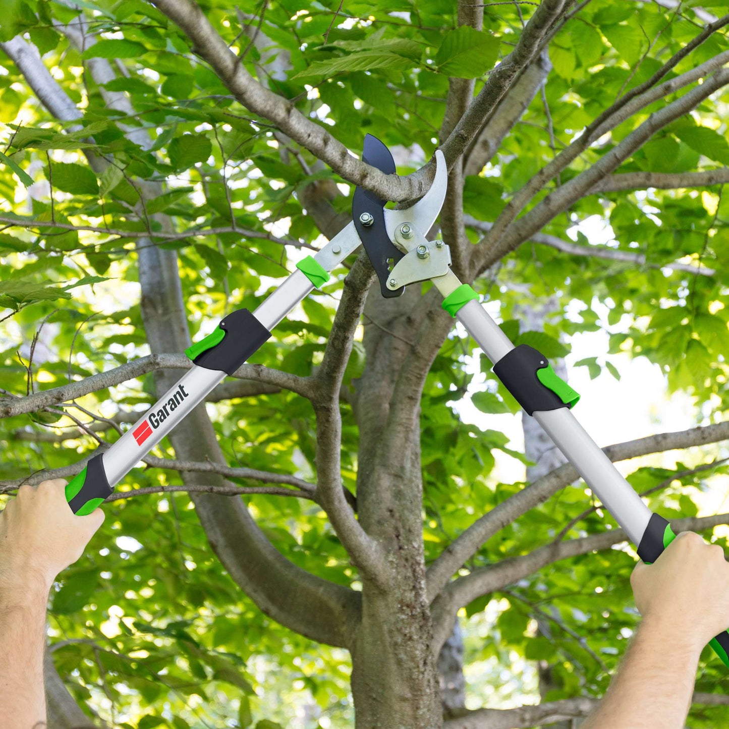 Bypass lopping shears, telescopic handles