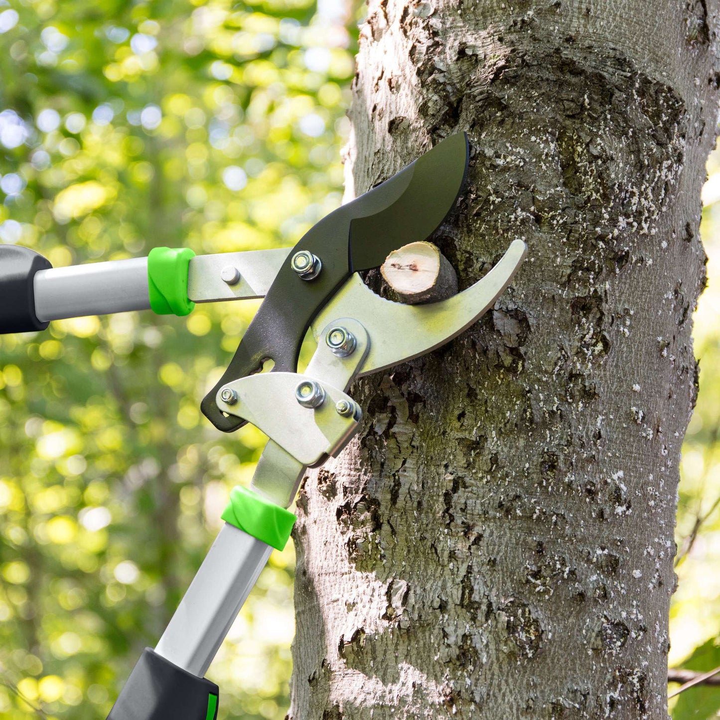 Bypass lopping shears, telescopic handles