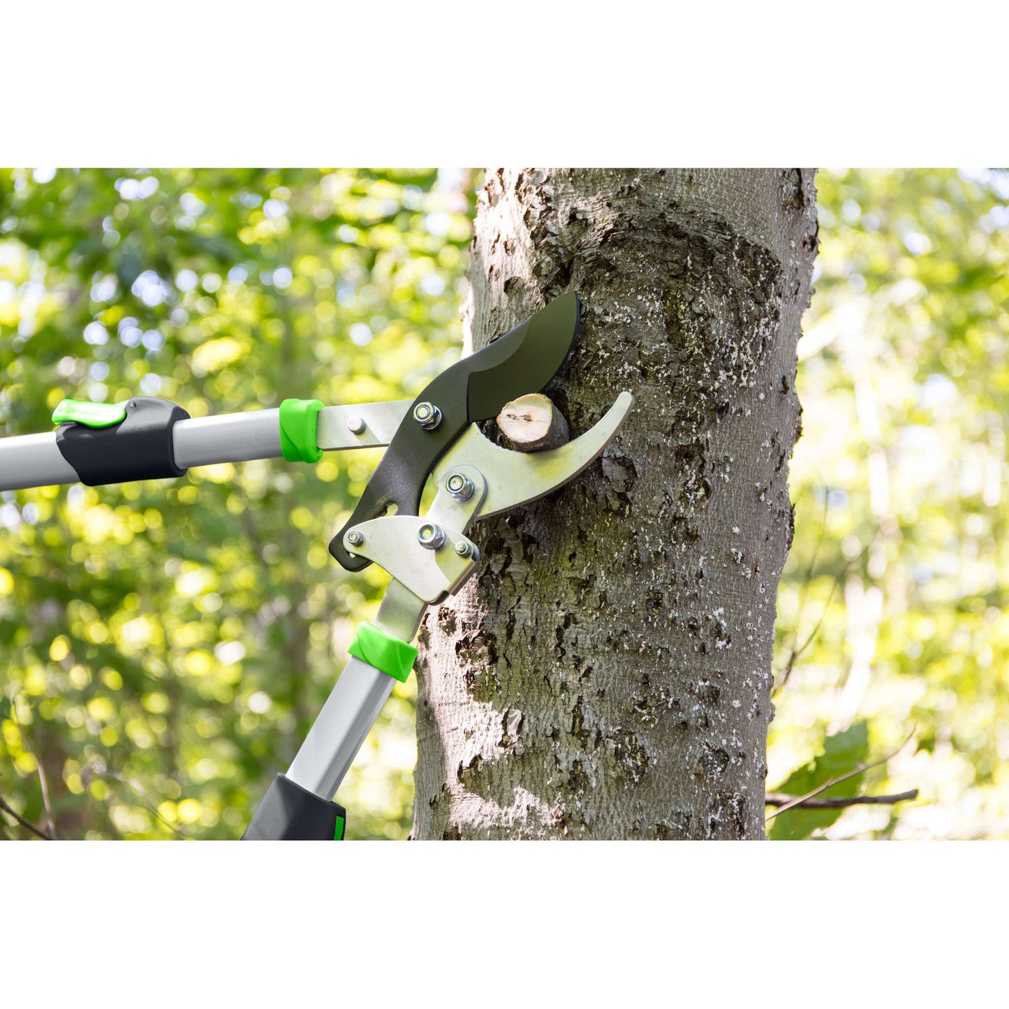 Bypass lopping shears, telescopic handles