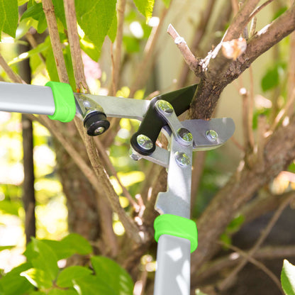 Anvil lopping shears