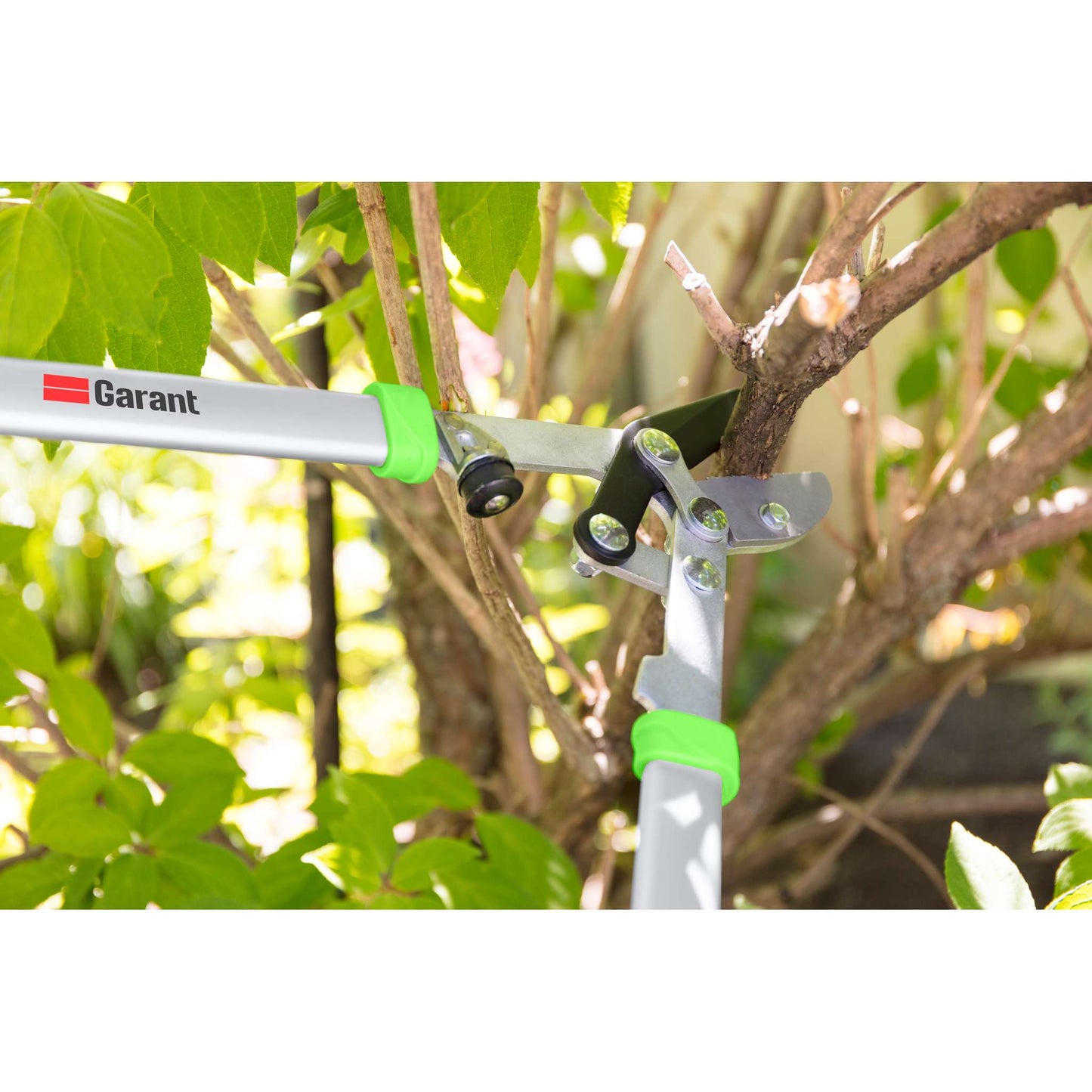 Anvil lopping shears