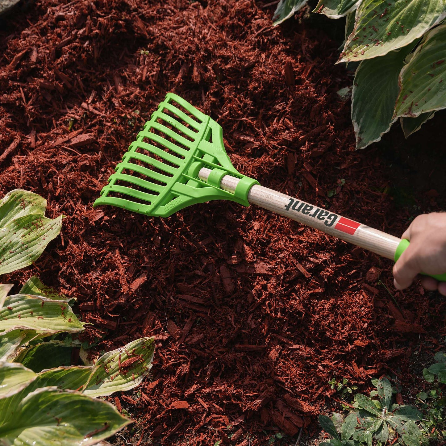Shrub rake, short wood handle