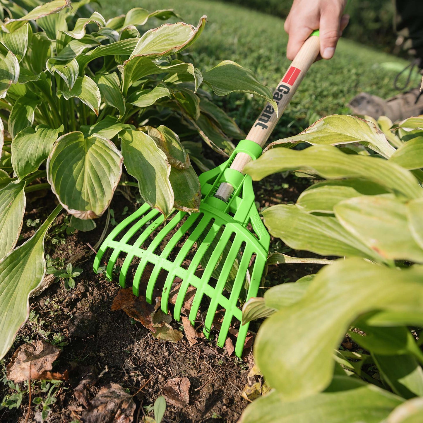 Shrub rake, short wood handle