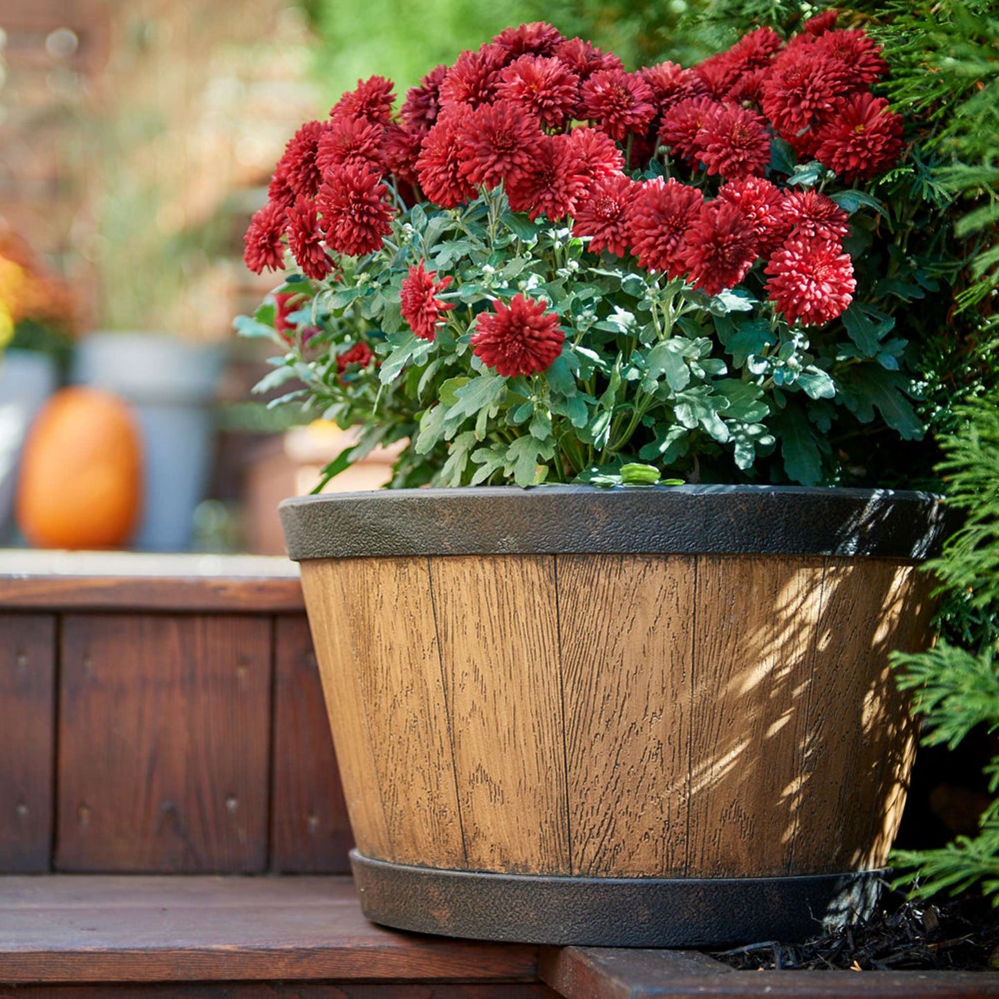 Pot tennessee, 15,5 po