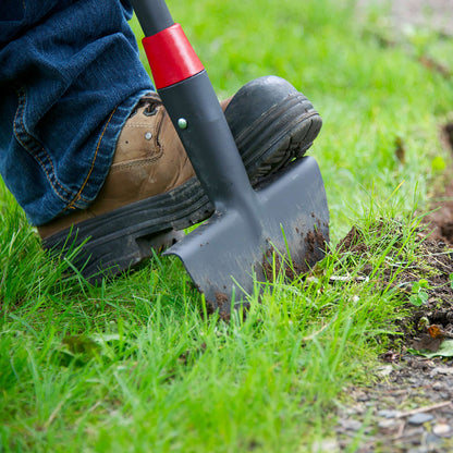 Turf edger