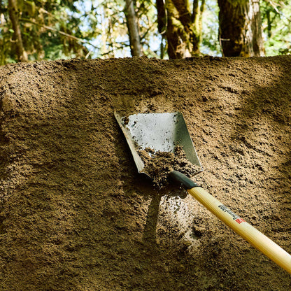 Square point shovel, wood handle, D-grip