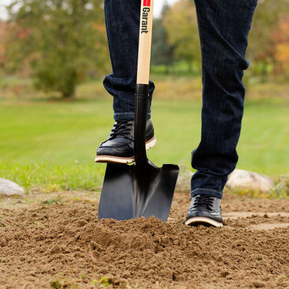 Round point shovel, long wood handle