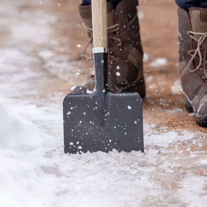 7" Ice Scraper with Tempered Steel Blade