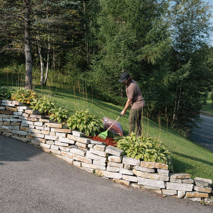 Shrub rake, wood handle