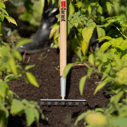 Level rake, wood handle