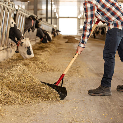 Barn scraper