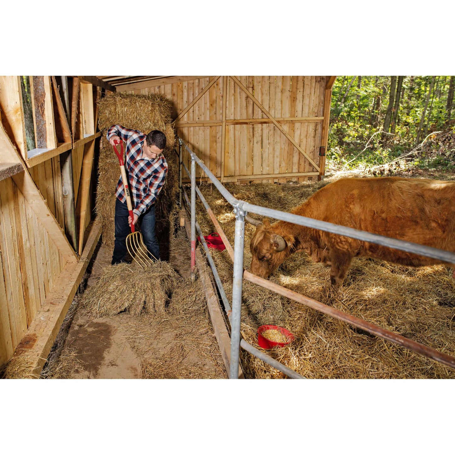 Fourche à engrais, 5 dents