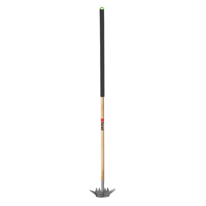 Multi-surface weeder