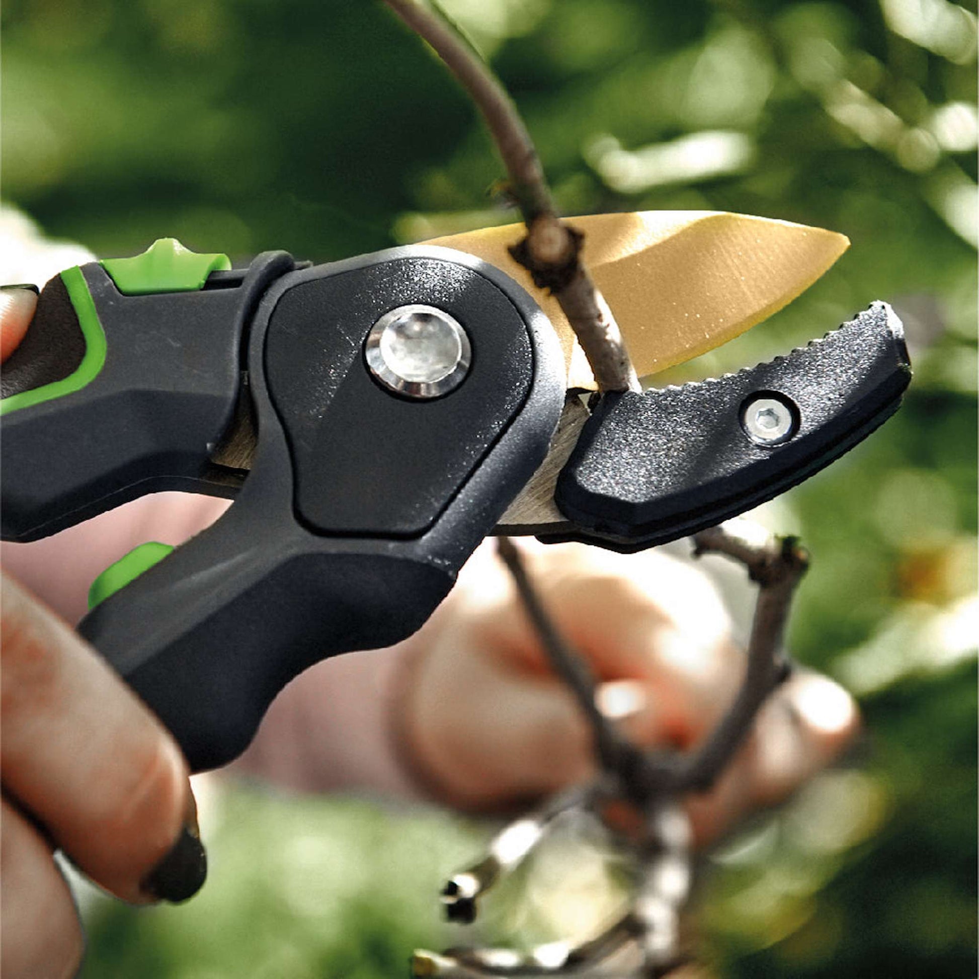 Why Choose Anvil Pruners: Durable, Precise, and Efficient Tools