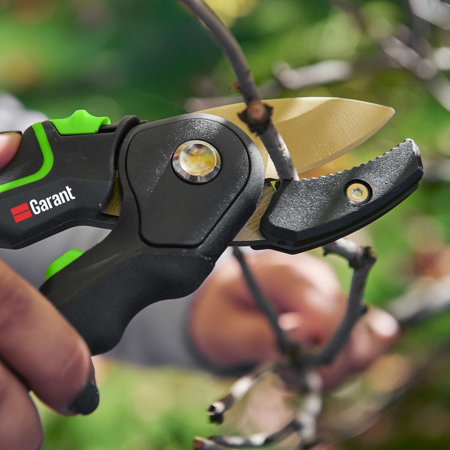 Sécateur à enclume, format moyen