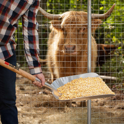 Aluminum Grain Scoop with D-Grip Handle