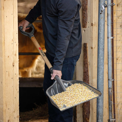 Pelle à grains avec lame en poly et poignée en D